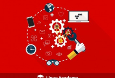 Python Programming 17689984702374668